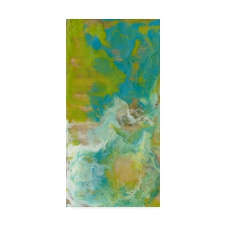 TRADEMARK FINE ART Jennifer Goldberger 'Amorphous I' Canvas Art, 16x32 WAG00881-C1632GG